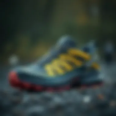 Magnificent Salomon XA Rogg 2 GTX: Dağ Yürüyüşü için Tasarlanmış Bir Üst Düzey Ayakkabı Magnificent Salomon XA Rogg 2 GTX: Dağ Yürüyüşü için Tasarlanmış Bir Üst Düzey Ayakkabı