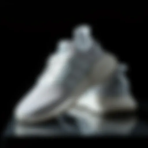 Stylish adidas Cloudfoam shoes displayed elegantly