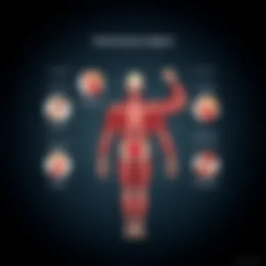 Diagram Illustrating Muscle Functions Diagram illustrating muscle functions