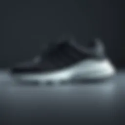 Elegant black sports shoes with a sleek design