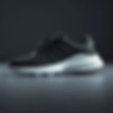 Elegant black sports shoes with a sleek design