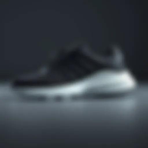 Elegant black sports shoes with a sleek design