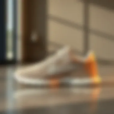 Elegant beige sports shoes on a stylish background