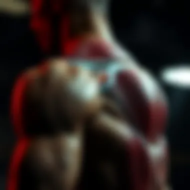 Illustration of the deltoid muscle anatomy