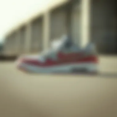 Detailed look at sneaker selection criteria