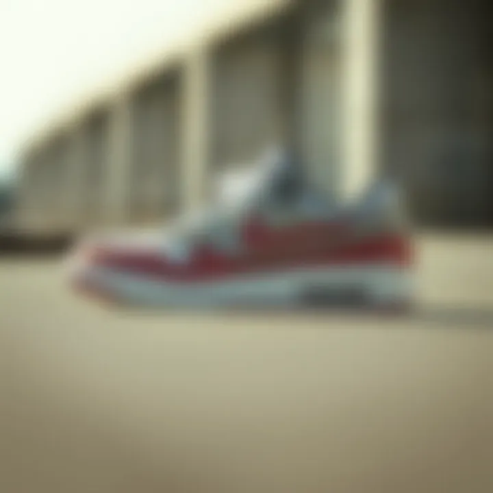 Detailed look at sneaker selection criteria