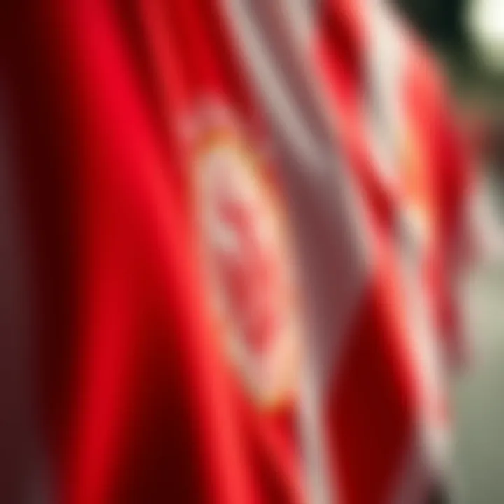 Close-up of Galatasaray emblem representing club identity and heritage