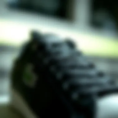 Close-Up of Design Details Close-up of Lacoste black sneaker design details