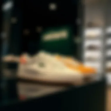 Stylish Lacoste Footwear Collection Stylish Lacoste footwear display