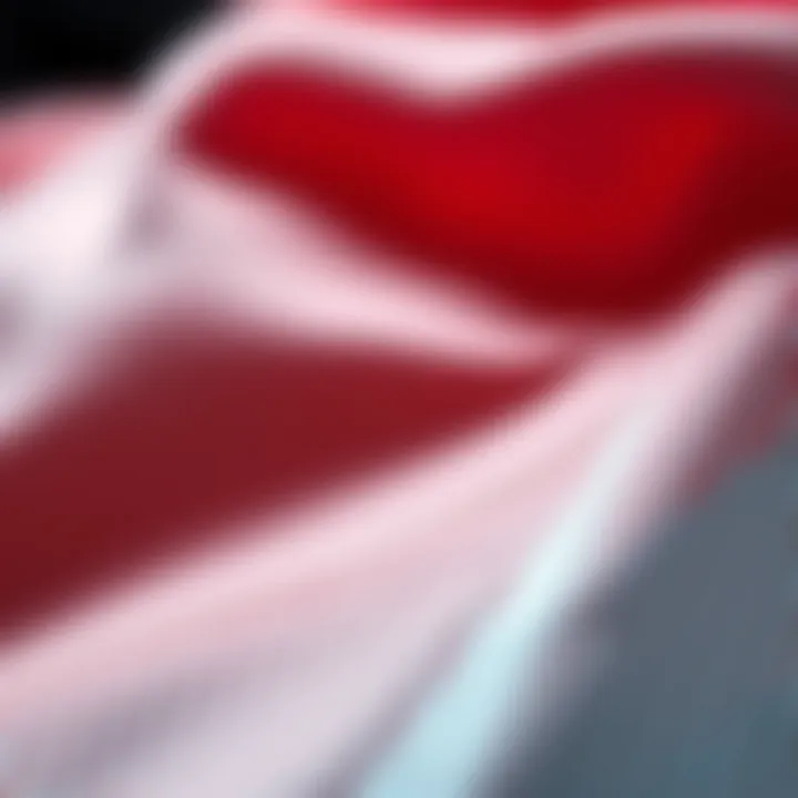 Intricate Design and Quality of Mor Nike Tech Close-up of Mor Nike Tech fabric highlighting its quality and design