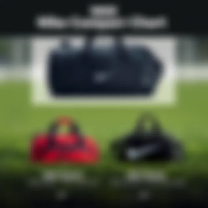 Comparison of Nike Utility Speed Bag with Others A comparison chart of various sports bags including Nike Utility Speed.