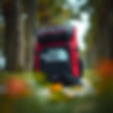 Stylish North Face bag suitable for everyday use