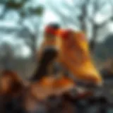 The Elegance of Timberland Ankle Boots Stylish Timberland ankle boots showcased in a natural setting